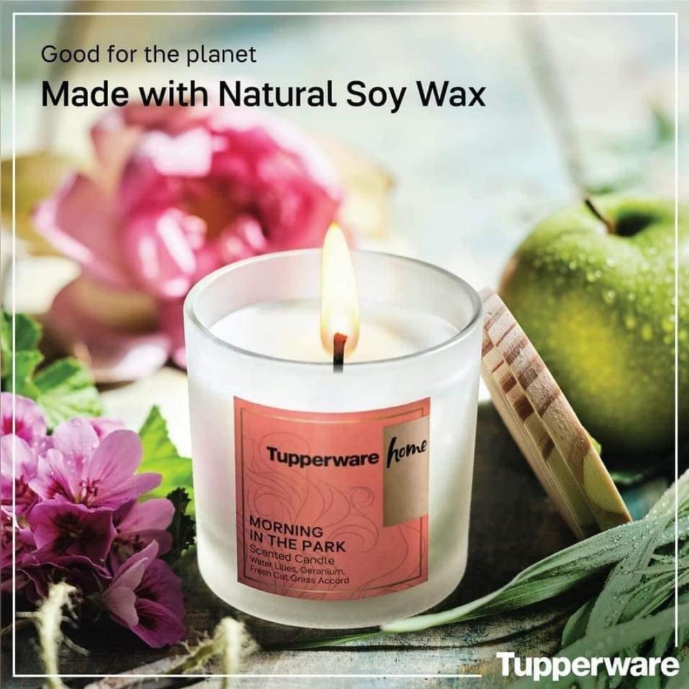 New Tupperware Set of 2 Morning in The Park Candles